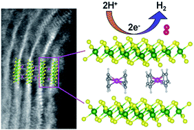Graphical abstract: Intercalation of cobaltocene into WS2 nanosheets for enhanced catalytic hydrogen evolution reaction
