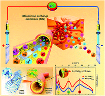 Graphical abstract: Angioplasty mimetic stented ion transport channels construct durable high-performance membranes