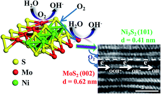 Graphical abstract: Tailoring 2D MoS2 heterointerfaces for promising oxygen reduction reaction electrocatalysis