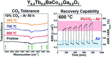 Graphical abstract: CO2-tolerant (Y,Tb)Ba(Co,Ga)4O7 cathodes with low thermal expansion for solid oxide fuel cells