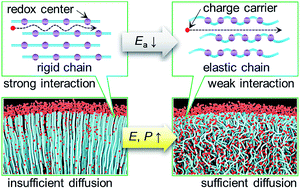 Graphical abstract: Chain rigidity modification to promote the electrochemical performance of polymeric battery electrode materials