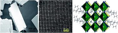 Graphical abstract: Hydrophobic perovskites based on an alkylamine compound for high efficiency solar cells with improved environmental stability