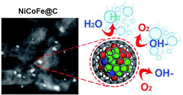 Graphical abstract: Versatile electrocatalytic processes realized by Ni, Co and Fe alloyed core coordinated carbon shells