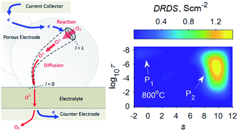 Graphical abstract: In operando monitoring of reaction-diffusion streamlines and uncovering of electrochemo-structural interactions in electrodes