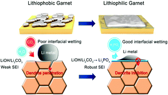 Graphical abstract: Acid induced conversion towards a robust and lithiophilic interface for Li–Li7La3Zr2O12 solid-state batteries