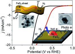 Graphical abstract: Two-dimensional FeS2-encapsulated Au: a quasi-epitaxial heterojunction for synergistic catalytic activity under photoelectrocatalytic water reduction