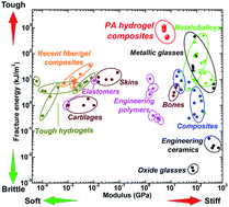 Graphical abstract: Superior fracture resistance of fiber reinforced polyampholyte hydrogels achieved by extraordinarily large energy-dissipative process zones