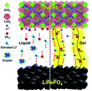 Graphical abstract: High Li+ transference gel interface between solid-oxide electrolyte and cathode for quasi-solid lithium-ion batteries