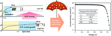 Graphical abstract: Steering the crystallization of perovskites for high-performance solar cells in ambient air