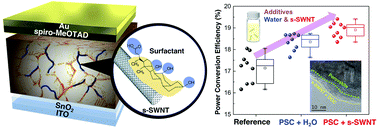 Graphical abstract: Semiconducting carbon nanotubes as crystal growth templates and grain bridges in perovskite solar cells