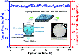 Graphical abstract: Robust superhydrophobic dual layer nanofibrous composite membranes with a hierarchically structured amorphous polypropylene skin for membrane distillation