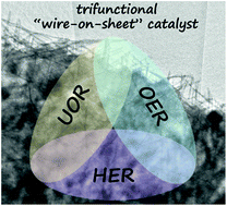 Graphical abstract: Copper-incorporated hierarchical wire-on-sheet α-Ni(OH)2 nanoarrays as robust trifunctional catalysts for synergistic hydrogen generation and urea oxidation