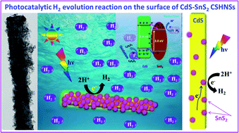 Graphical abstract: Enhanced photoexcited carrier separation in CdS–SnS2 heteronanostructures: a new 1D–0D visible-light photocatalytic system for the hydrogen evolution reaction
