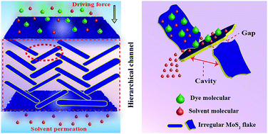 Graphical abstract: A loosely stacked lamellar membrane of irregular MoS2 flakes for ultrahigh water and organics permeation