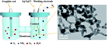 Graphical abstract: Bimetallic Ag3Cu porous networks for ambient electrolysis of nitrogen to ammonia