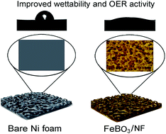Graphical abstract: Enhanced surface wettability and innate activity of an iron borate catalyst for efficient oxygen evolution and gas bubble detachment