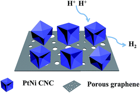 Graphical abstract: Morphology controllable synthesis of PtNi concave nanocubes enclosed by high-index facets supported on porous graphene for enhanced hydrogen evolution reaction