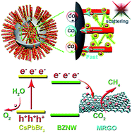 Graphical abstract: Hierarchical CsPbBr3 nanocrystal-decorated ZnO nanowire/macroporous graphene hybrids for enhancing charge separation and photocatalytic CO2 reduction