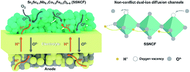 Graphical abstract: New reduced-temperature ceramic fuel cells with dual-ion conducting electrolyte and triple-conducting double perovskite cathode