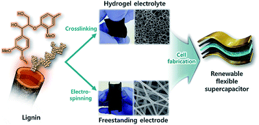 Graphical abstract: Renewable flexible supercapacitors based on all-lignin-based hydrogel electrolytes and nanofiber electrodes