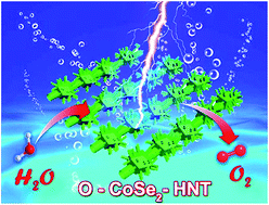 Graphical abstract: Hierarchical nanotubes constructed from CoSe2 nanorods with an oxygen-rich surface for an efficient oxygen evolution reaction