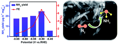 Graphical abstract: Synergistic electrocatalytic N2 reduction using a PTCA nanorod–rGO hybrid