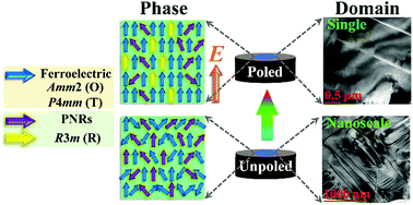 Graphical abstract: Understanding the piezoelectricity of high-performance potassium sodium niobate ceramics from diffused multi-phase coexistence and domain feature