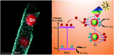 Graphical abstract: Heterostructured Sn/SnO2−x nanotube peapods with a strong plasmonic effect for photoelectrochemical water oxidation