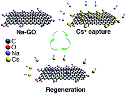Graphical abstract: Effective and sustainable Cs+ remediation via exchangeable sodium-ion sites in graphene oxide fibers