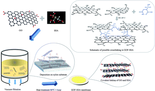 Graphical abstract: Functionalizing graphene oxide framework membranes with sulfonic acid groups for superior aqueous mixture separation