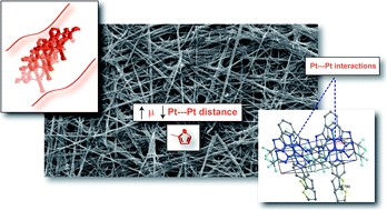 Graphical abstract: Charge transport enhancement in supramolecular oligothiophene assemblies using Pt(ii) centers as a guide