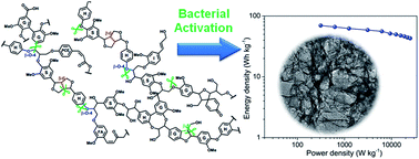 Graphical abstract: High-performance supercapacitor energy storage using a carbon material derived from lignin by bacterial activation before carbonization