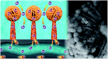 Graphical abstract: MnCo2S4/FeCo2S4 “lollipop” arrays on a hollow N-doped carbon skeleton as flexible electrodes for hybrid supercapacitors