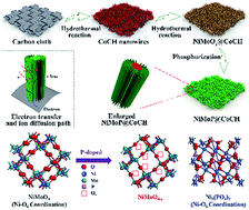 Graphical abstract: P-Doped NiMoO4 parallel arrays anchored on cobalt carbonate hydroxide with oxygen vacancies and mass transfer channels for supercapacitors and oxygen evolution