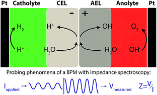 Graphical abstract: Electrochemical impedance spectroscopy as a performance indicator of water dissociation in bipolar membranes