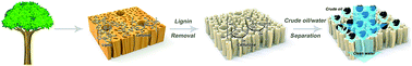 Graphical abstract: Delignified wood with unprecedented anti-oil properties for the highly efficient separation of crude oil/water mixtures