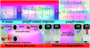 Graphical abstract: Reprocessable and degradable thermoset with high Tg cross-linked via Si–O–Ph bonds