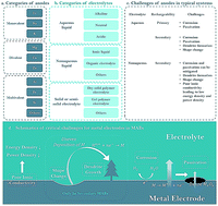 Graphical abstract: Recent advances and challenges in divalent and multivalent metal electrodes for metal–air batteries