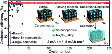 Graphical abstract: Tin nanoparticles embedded in a carbon buffer layer as preferential nucleation sites for stable sodium metal anodes