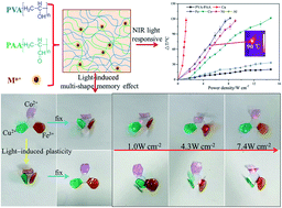 Graphical abstract: Fabrication of remote controllable devices with multistage responsiveness based on a NIR light-induced shape memory ionomer containing various bridge ions