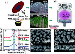 Graphical abstract: Phase-modulated 3D-hierarchical 1T/2H WSe2 nanoscrews by a plasma-assisted selenization process as high performance NO gas sensors with a ppb-level detection limit