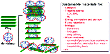 Graphical abstract: Dendrimers and hyper-branched polymers interacting with clays: fruitful associations for functional materials