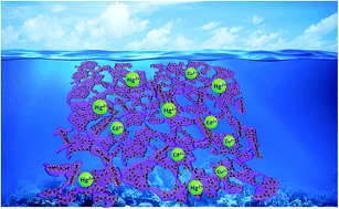 Graphical abstract: 2D amorphous MoS3 nanosheets with porous network structures for scavenging toxic metal ions from synthetic acid mine drainage