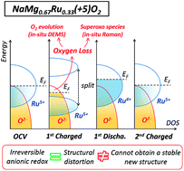 Graphical abstract: Unraveling the anionic oxygen loss and related structural evolution within O3-type Na layered oxide cathodes