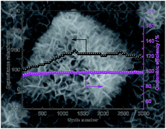 Graphical abstract: Mesoporous aluminium manganese cobalt oxide with pentahedron structures for energy storage devices