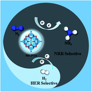 Graphical abstract: A novel phosphotungstic acid-supported single metal atom catalyst with high activity and selectivity for the synthesis of NH3 from electrochemical N2 reduction: a DFT prediction