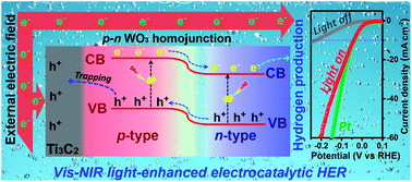 Graphical abstract: p–n tungsten oxide homojunctions for Vis-NIR light-enhanced electrocatalytic hydrogen evolution
