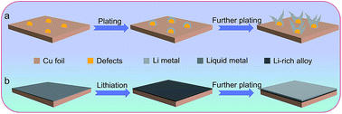 Graphical abstract: Uniform Li deposition by regulating the initial nucleation barrier via a simple liquid-metal coating for a dendrite-free Li–metal anode