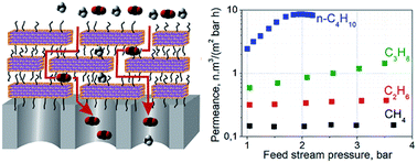 Graphical abstract: Labyrinthine transport of hydrocarbons through grafted laminar CdTe nanosheet membranes