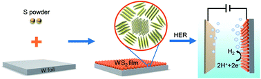 Graphical abstract: One-step synthesis of a hierarchical self-supported WS2 film for efficient electrocatalytic hydrogen evolution